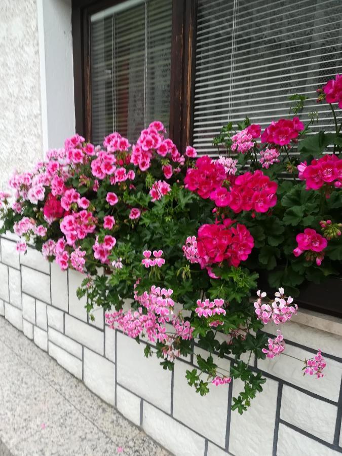 Apartments & Rooms Stare بوينج المظهر الخارجي الصورة